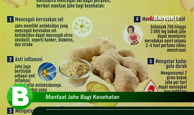 Temukan Manfaat Kesehatan Jahe yang Menakjubkan!