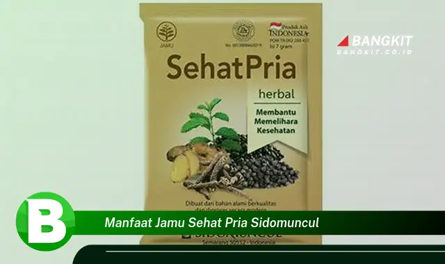 Temukan Rahasia Khasiat Jamu Pria Sidomuncul yang Wajib Kamu Ketahui