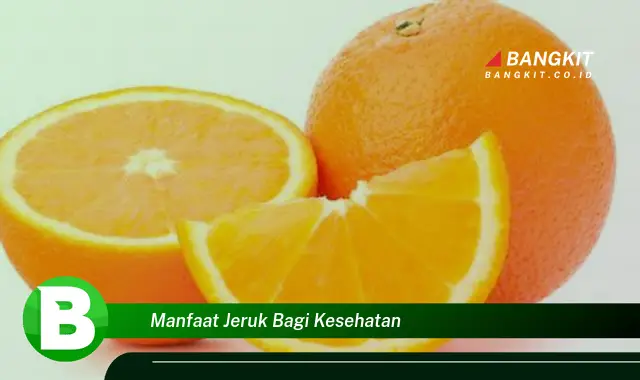 Intip Manfaat Jeruk Bagi Kesehatan yang Bikin Kamu Penasaran