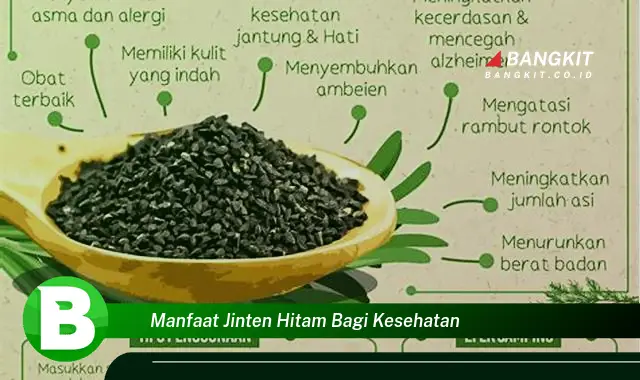 Temukan Manfaat Jinten Hitam bagi Kesehatan yang Bikin Kamu Penasaran