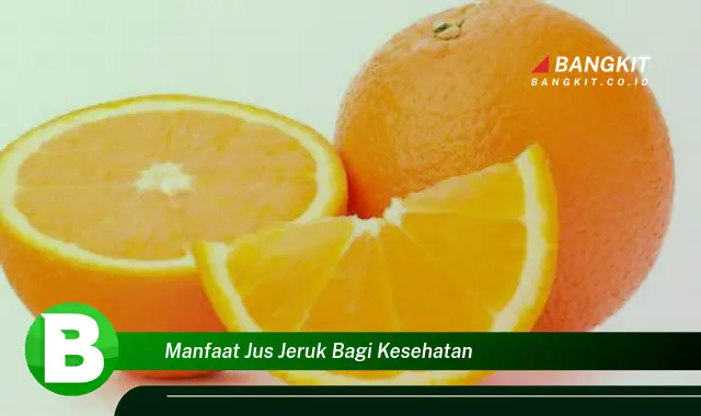 Ketahui Manfaat Jus Jeruk Bagi Kesehatan yang Bikin Kamu Penasaran