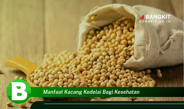 Intip Manfaat Kacang Kedelai yang Bikin Kamu Penasaran