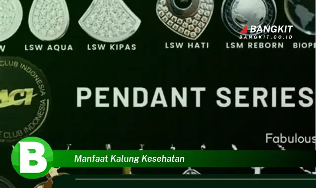 Temukan Manfaat Kalung Kesehatan yang Bikin Kamu Penasaran!