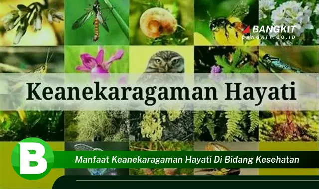 Temukan Manfaat Keanekaragaman Hayati di Bidang Kesehatan yang Bikin Kamu Penasaran