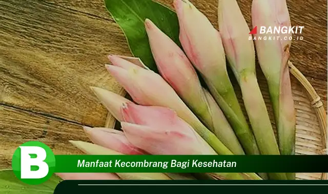 Intip Manfaat Kecombrang Bagi Kesehatan yang Wajib Kamu Tau