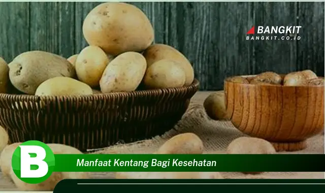 Intip Manfaat Kentang yang Bikin Kamu Penasaran