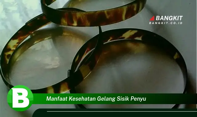 Intip Manfaat Gelang Sisik Penyu yang Bikin Kamu Penasaran