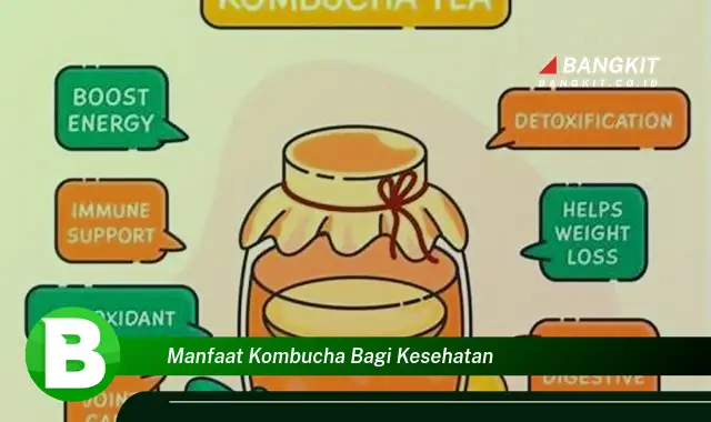 Intip Manfaat Kombucha bagi Kesehatan yang Bikin Kamu Penasaran