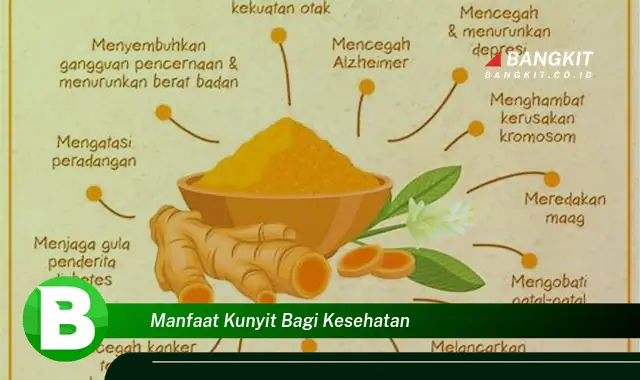 Temukan Manfaat Kunyit Bagi Kesehatan yang Bikin Kamu Penasaran