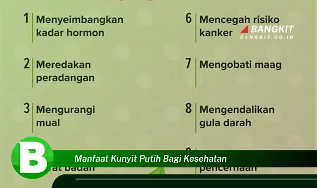 Intip Manfaat Kunyit Putih Bagi Kesehatan yang Bikin Kamu Penasaran