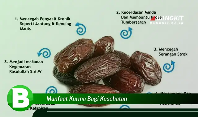 Ketahui Manfaat Konsumsi Kurma yang Bikin Kamu Penasaran