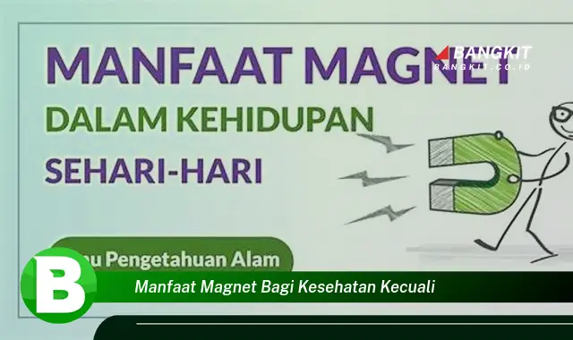 Ketahui Manfaat Magnet Bagi Kesehatan yang Wajib Kamu Tau, Kecuali...