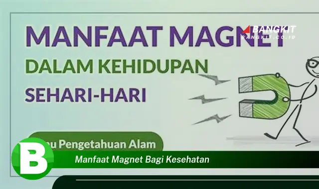 Ketahui Manfaat Magnet bagi Kesehatan yang Bikin Kamu Penasaran