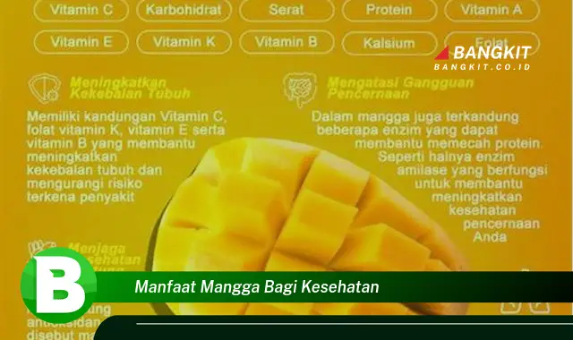 Intip Manfaat Mangga Bagi Kesehatan yang Wajib Kamu Tau