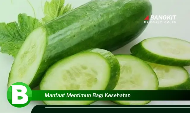 Ketahui Manfaat Mentimun bagi Kesehatan yang Wajib Kamu Tau