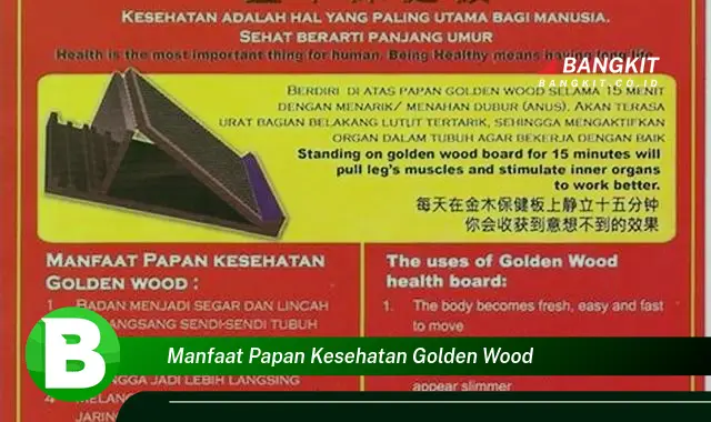 Intip Manfaat Papan Kesehatan Golden Wood yang Bikin Kamu Penasaran