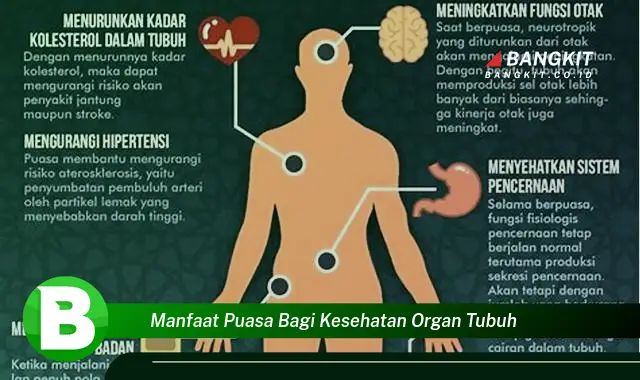 Ketahui Manfaat Puasa Bagi Kesehatan Organ Tubuh yang Bikin Kamu Penasaran