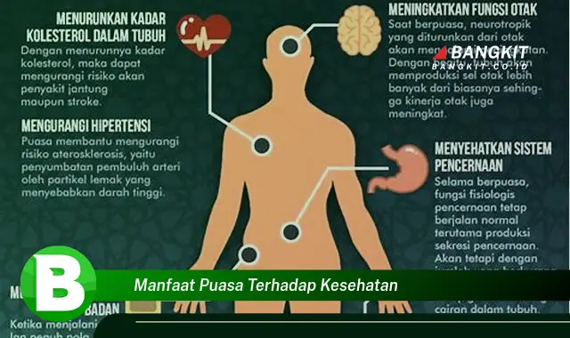 Ketahui Manfaat Puasa Terhadap Kesehatan yang Bikin Kamu Penasaran