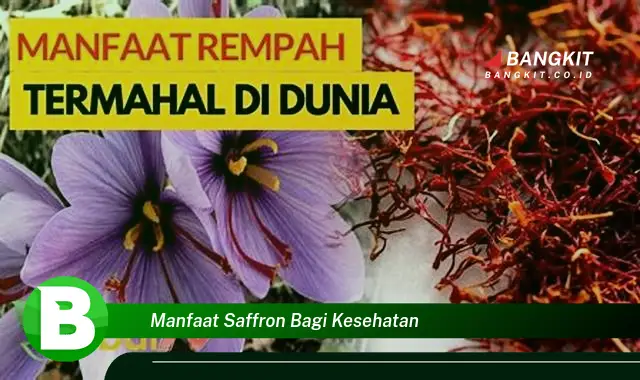 Temukan Manfaat Saffron Bagi Kesehatan yang Bikin Kamu Penasaran