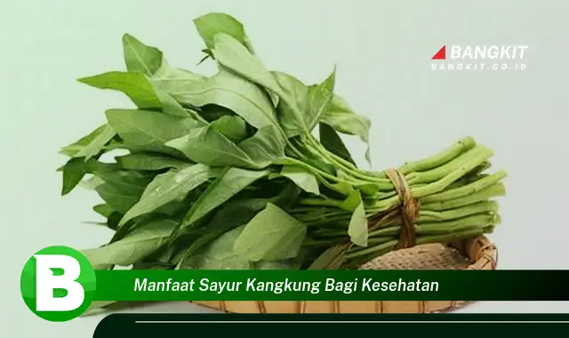 Intip Manfaat Sayur Kangkung yang Wajib Kamu Tahu