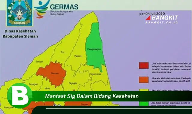 Intip Manfaat SIG di Bidang Kesehatan: Temuan Terbaru yang Bikin Penasaran!