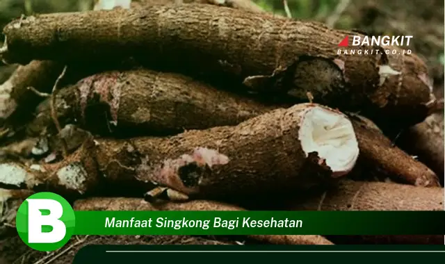 Intip Manfaat Singkong bagi Kesehatan yang Bikin Kamu Penasaran