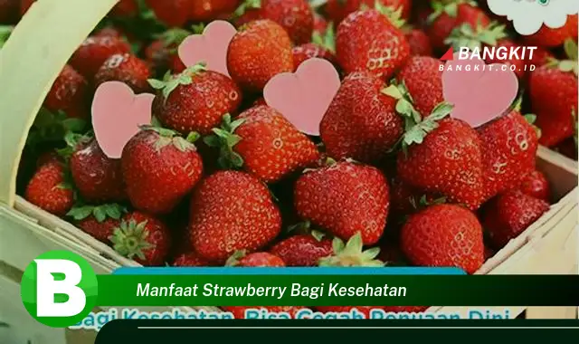 Temukan Manfaat Menakjubkan Buah Stroberi Bagi Kesehatan yang Wajib Kamu Intip