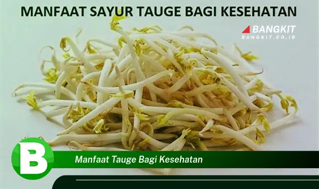 Intip Manfaat Tuge bagi Kesehatan yang Wajib Kamu Tahu!