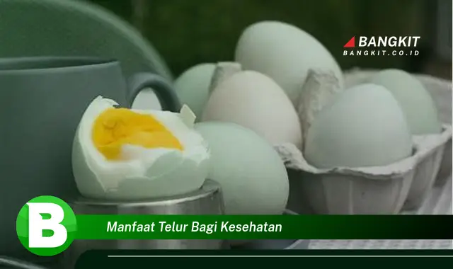 Intip Manfaat Telur Untuk Kesehatan yang Wajib Kamu Tau