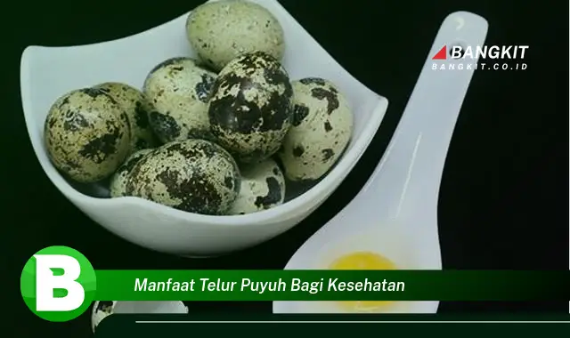 Temukan Manfaat Telur Puyuh Bagi Kesehatan yang Bikin Kamu Penasaran