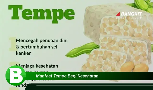 Ketahui Manfaat Tempe Bagi Kesehatan yang Wajib Kamu Intip