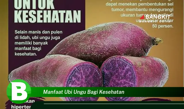 Temukan Manfaat Ubi Ungu Bagi Kesehatan yang Bikin Kamu Penasaran