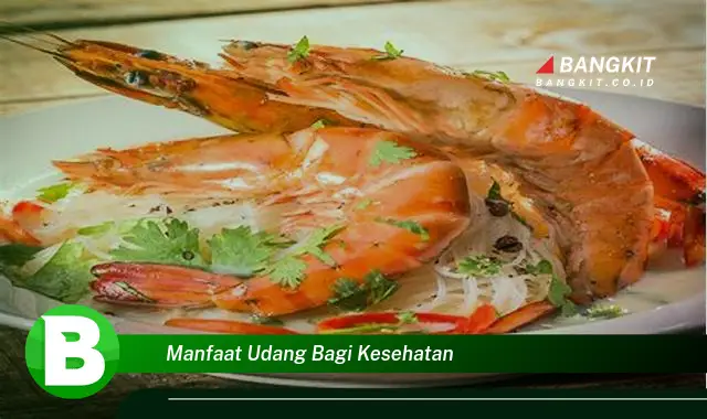 Temukan Manfaat Udang Bagi Kesehatan yang Bikin Kamu Penasaran