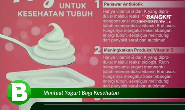 Intip Manfaat Yogurt yang Wajib Kamu Ketahui