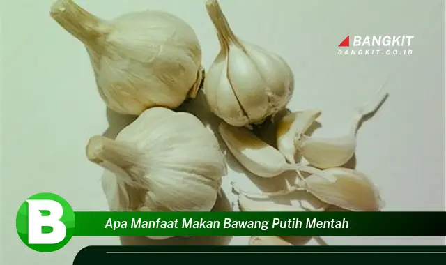 Ketahui Manfaat Makan Bawang Putih Mentah yang Bikin Kamu Penasaran