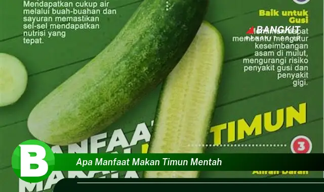 Temukan Manfaat Makan Timun Mentah yang Bikin Kamu Penasaran!