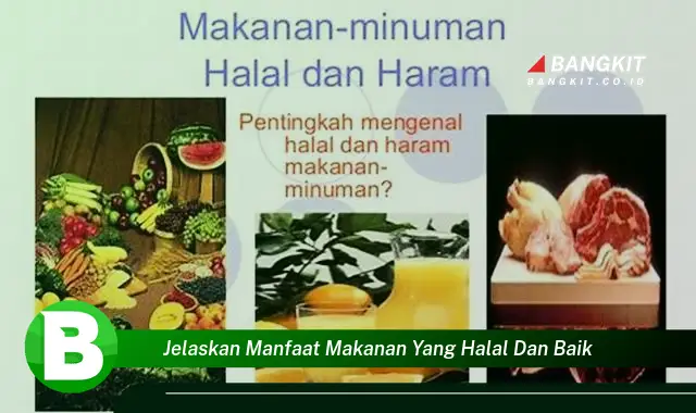 Intip Manfaat Makanan Halal dan Baik yang Wajib Kamu Tahu