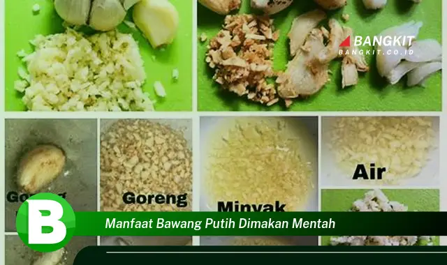 Intip Manfaat Bawang Putih Dimakan Mentah yang Bikin Kamu Penasaran