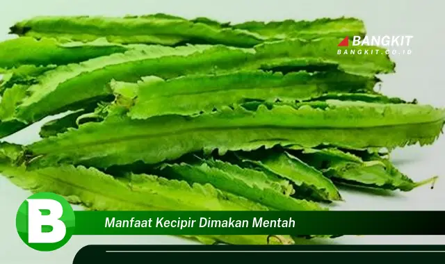 Intip Manfaat Kecipir Dimakan Mentah yang Wajib Kamu Tahu