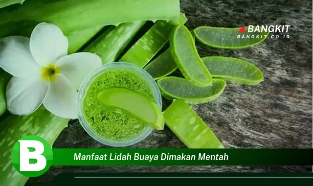 Temukan Manfaat Lidah Buaya Dimakan Mentah yang Bikin Kamu Penasaran