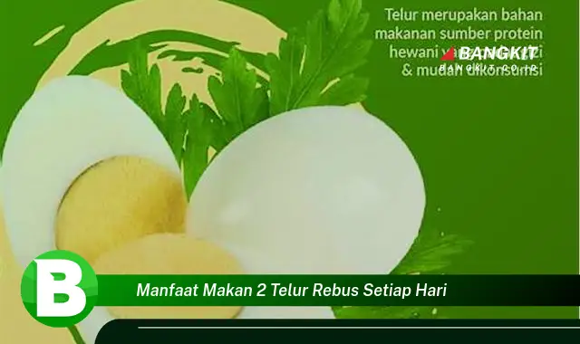 Intip Manfaat Makan 2 Telur Rebus Setiap Hari yang Bikin Kamu Penasaran