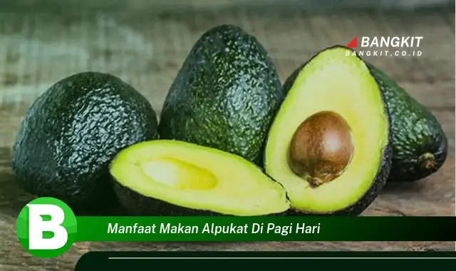 Intip Manfaat Makan Alpukat di Pagi Hari yang Bikin Kamu Penasaran