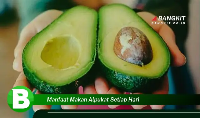 Temukan Manfaat Makan Alpukat Setiap Hari yang Bikin Kamu Penasaran!