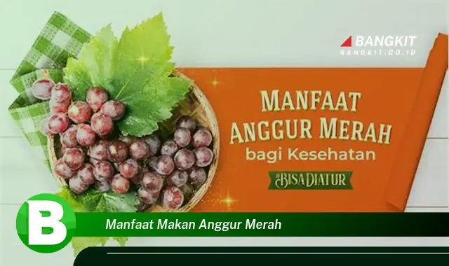 Intip Manfaat Tersembunyi Makan Anggur Merah yang Bikin Kamu Penasaran