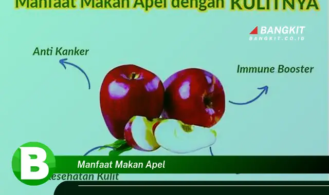 Temukan Manfaat Makan Apel yang Bikin Kamu Penasaran