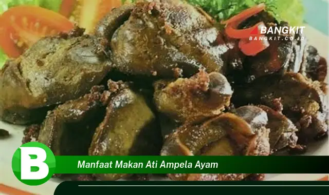 Temukan Manfaat Makan Ati Ampela Ayam yang Bikin Kamu Penasaran