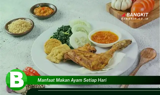 Ketahui Manfaat Makan Ayam Setiap Hari yang Bikin Kamu Penasaran!