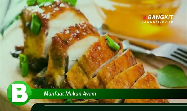 Ketahui Manfaat Makan Ayam yang Bikin Kamu Penasaran