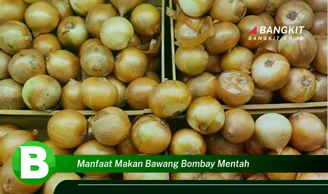 Intip Manfaat Makan Bawang Bombay Mentah yang Bikin Kamu Penasaran