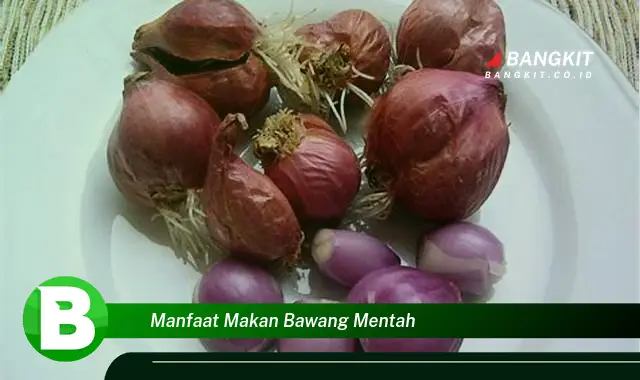 Temukan Manfaat Makan Bawang Mentah yang Bikin Kamu Penasaran